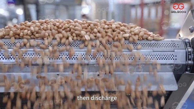 Жареный острый арахис！Линия по производству жареного острого арахиса