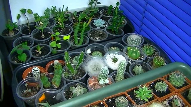 Часть коллекции готова к переезду 27 05 2020 смотреть онлайн