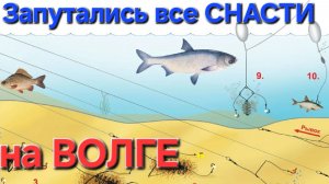 🔥ЗАПУТАЛИ ВСЕ СНАСТИ🔥...на Волге!! Рыбалка-Апрель-Астрахань !!