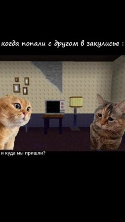 кто любит котиков лайк и подписка