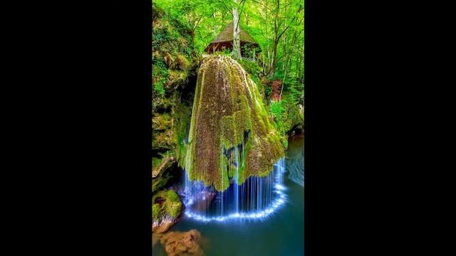 Презентация романа Ирины Соркиной "Плоды розового дерева" смотреть онлайн