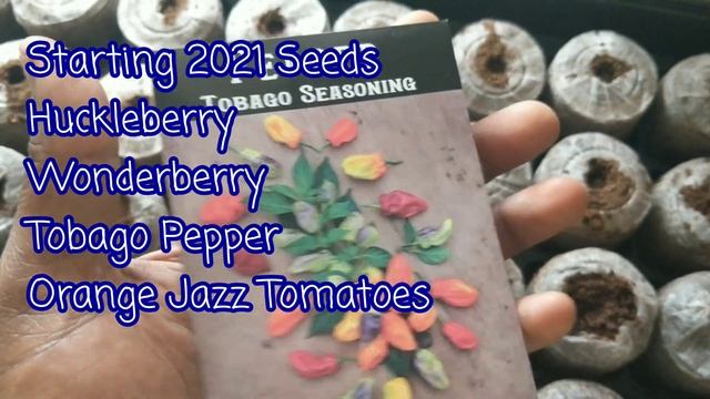 2021 Starting Seeds Huckleberry, Wonderberry, Tobago Peppers, Orange Jazz Tomatoes смотреть онлайн