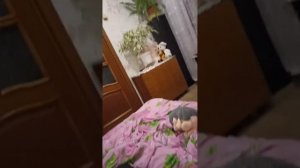 Пять ночей с Ежиком|3 ночь #2