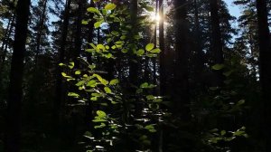 Лампабикт -  Кукушка видеоработа