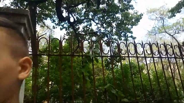 18 мая 2020 г. смотреть онлайн