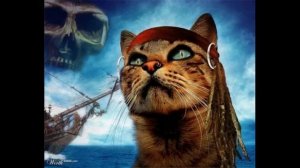 Песня про кота-пирата