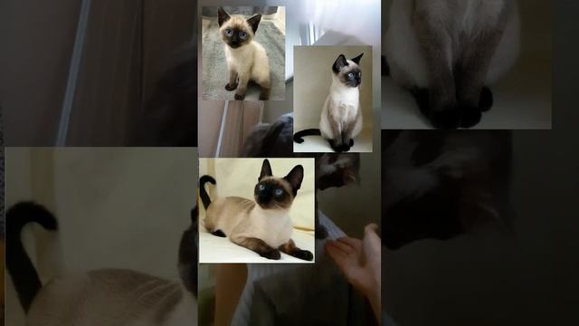 12 июня 2024 г. смотреть онлайн