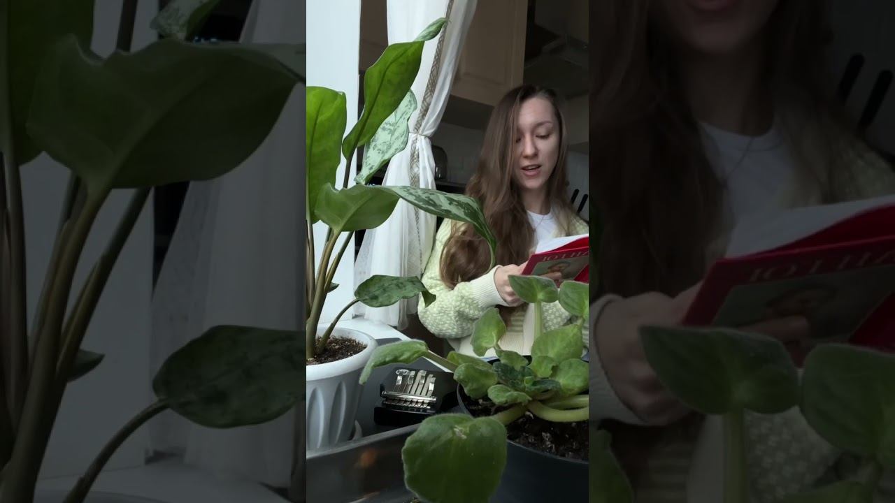 поздравления