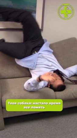 Знакомо