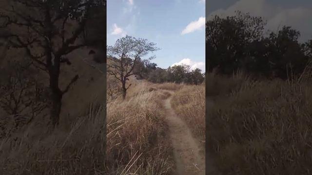 Bella and her frens been to Lily bung 2022 feb-feat : Angwar nula (singer) смотреть онлайн