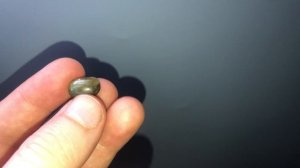 Сапфир звёздчатый, золотисто- зелёный 11,71кт №350