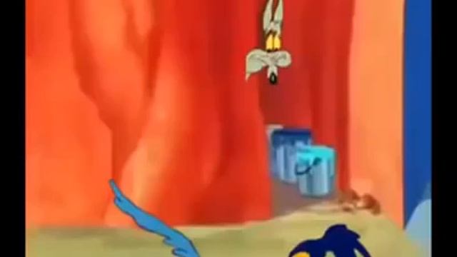 Coyote Catches Road Runner смотреть онлайн