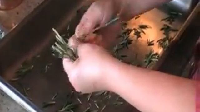 Roasted Potatoes with Rosemary | The Frugal Chef