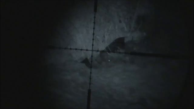 Крысинг #13 ферма Night Rat Night Vision