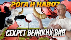 БИОДИНАМИЧЕСКОЕ ВИНОДЕЛИЕ — рога, навоз. СЕКРЕТ ВЕЛИКИХ ВИН