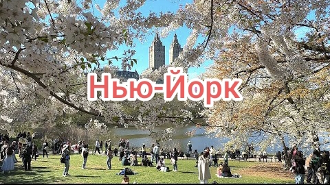 Солнечный весенний день в Центральном парке", Нью-Йорк | Расслабляющая прогулка и цветущие виды