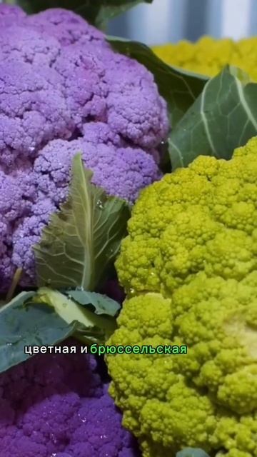 Диета для печени – овощи, богатые клетчаткой, витаминами и минералами. #рек #польза