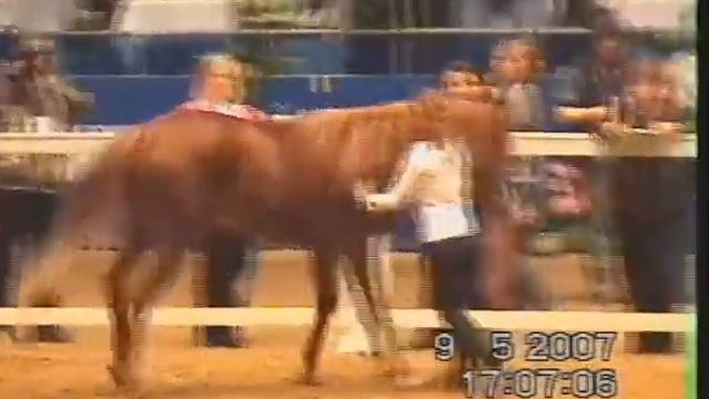 Веледа2004Каньон Выпь смотреть онлайн