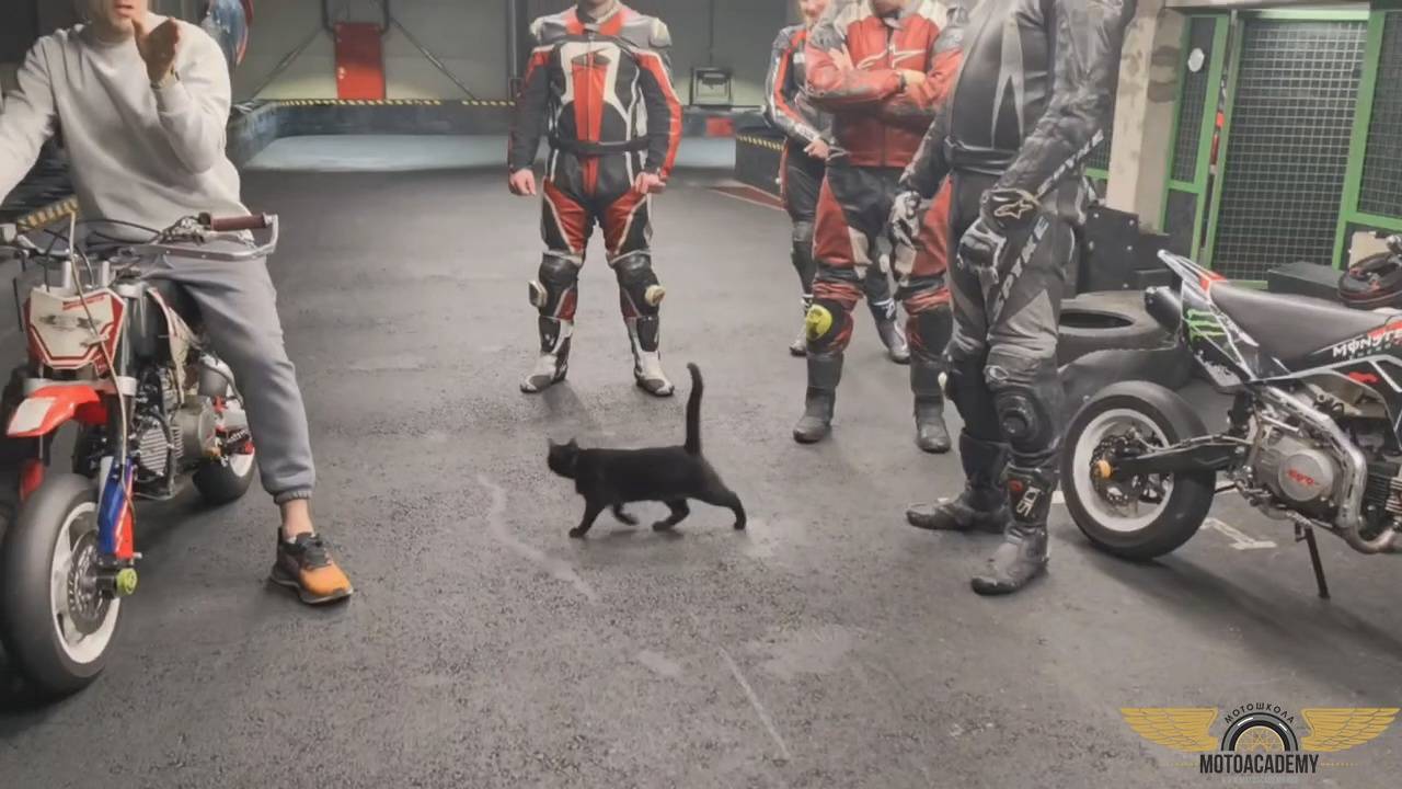 С грацией кошки, или Быстро и плавно