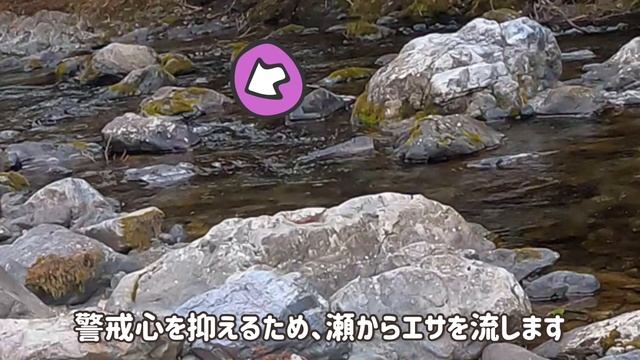 【ミャク釣り解説】エサ釣りとルアー、どっちが釣れる？解禁日に検証してみた