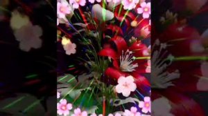 1000081872.mp4