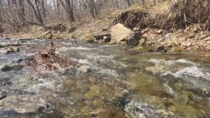 Река Каменка 1-я. Мой город, наша природа