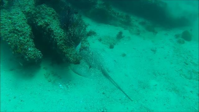 Ras Sanut and Ras Lima, Musandam Oman смотреть онлайн