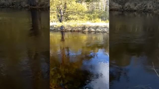 Главные астрологические аспекты 4.04. Татьяна Спичек, кол-в МаЭД Могилёва. Мир Универсологии