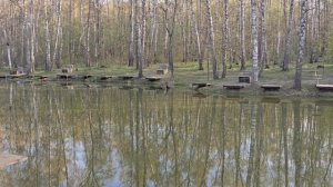 21.04.25 г. Парк отдыха водопад