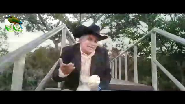 Armando .. Impacto Musical  Corinteño - Amor te Amo (C) смотреть онлайн