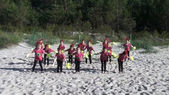 Kolonia Taneczno Wypoczynkowa Mrzeżyno- RYTMIX SZCZECIN 2017 -"Papugi" смотреть онлайн