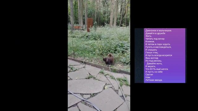 #москва #бирюлево #дендропарк#домашниелюбимцы #прогулка#лето август на дворе