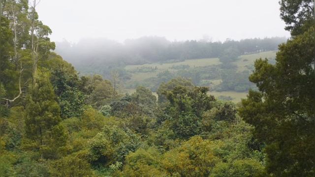 ooty photoshoot  9th mile shooting spot ooty  photogtaphy in ooty  ooty photography