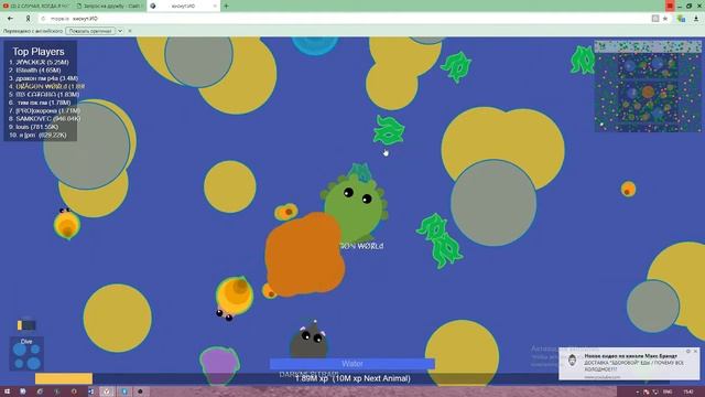 мопио смотреть онлайн