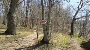 Савранская канатная дорога. Пещера Желаний. Скала Чёртов палец. Адыгея. Апрель. 2024.