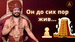 Почему эти попугаи — не просто попугаи? Тайна бессмертия Арунагири Натхара