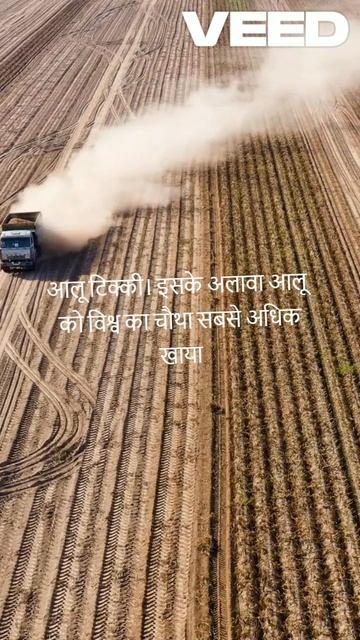 आलू के मजेदार तथ्य   देखें! #alu #potato #potatorecipe #potatosnacks смотреть онлайн