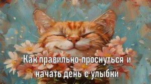 1+++😻💥Кошачий заряд, который подарит позитив на весь день. 😻💥