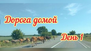 Дорога домой ДЕНЬ 1 // Волгоград // Гостиница Royal Castle