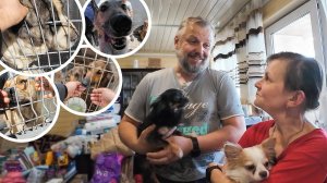 Помощь от подписчиков. Привезли кучу подарков?!