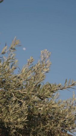 Six Senses Отель Турции