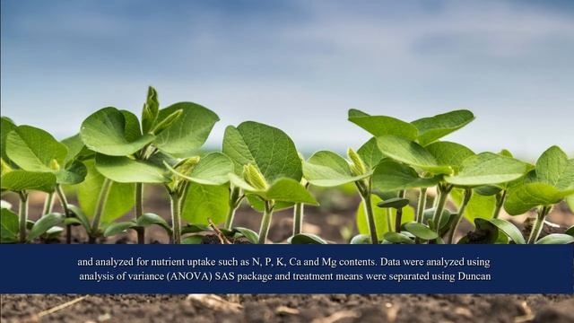 Study on the Effects of Mineral Fertilizers on Growth, Fruit Yield and Nutrient Uptake of Tomato... смотреть онлайн