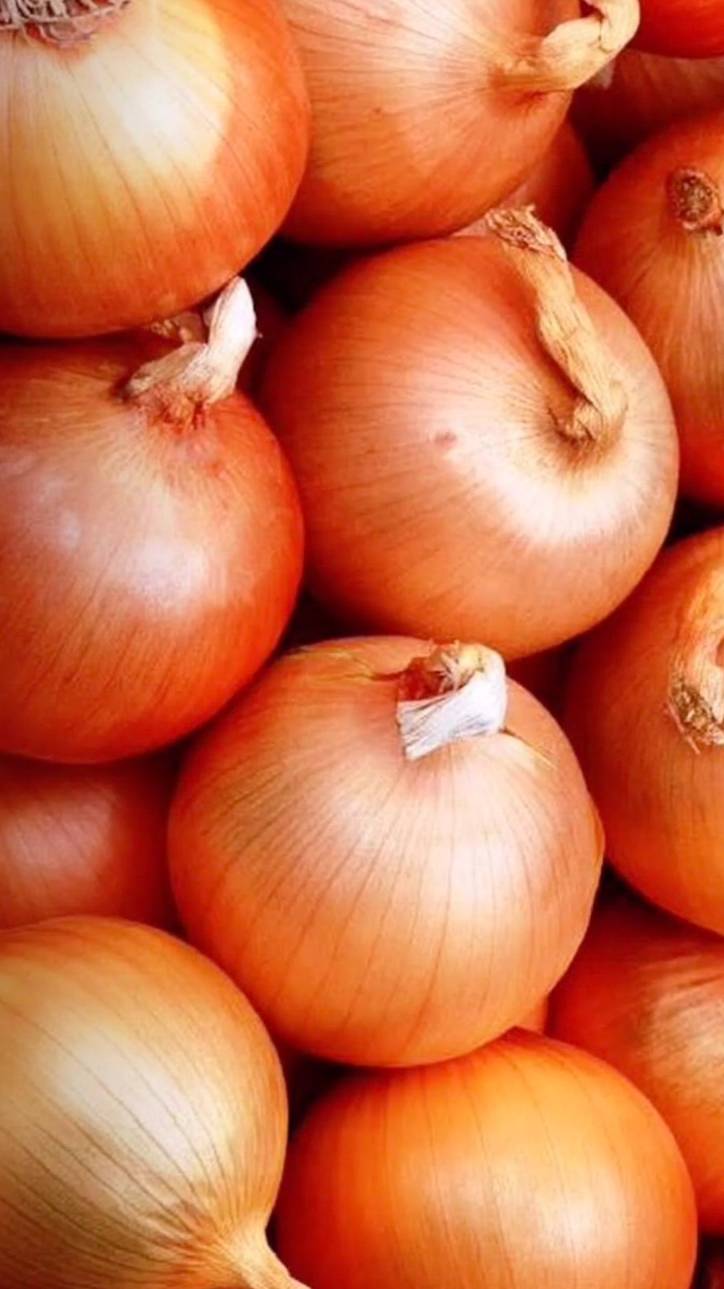 Собираем урожай лука