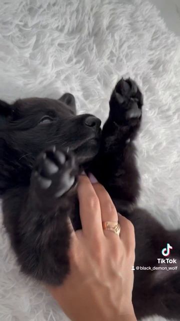 Красавчик смотреть онлайн