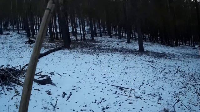 ТРУДОВАЯ ОХОТА С ПОДХОДА НА КОСУЛЮ смотреть онлайн