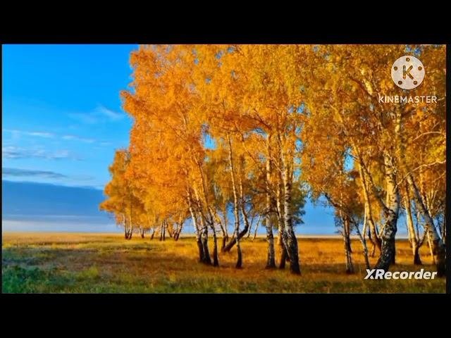 мы родились в сибири//бражка,сало,колбаса//обзор канала