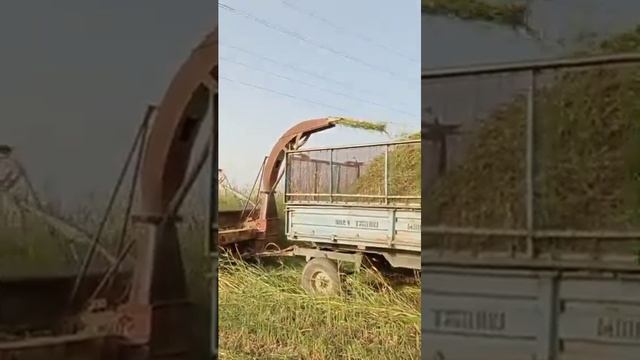 29 августа 2022 г. смотреть онлайн