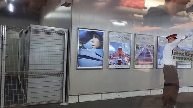 Весна в Японии, цветущие сакура и глициния смотреть онлайн