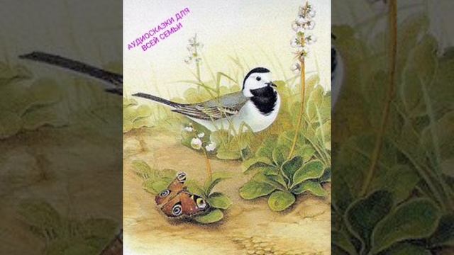 ТРЯСОГУЗКА