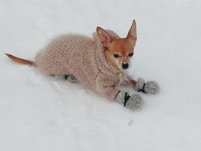 С днём рождения меня)))) смотреть онлайн